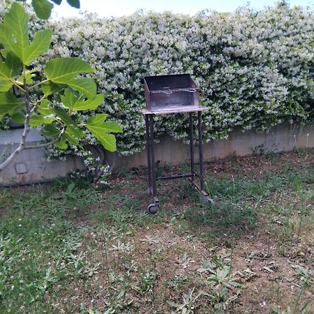 Appartamento In Seminterrato Zannone Sabaudia Buitenkant foto