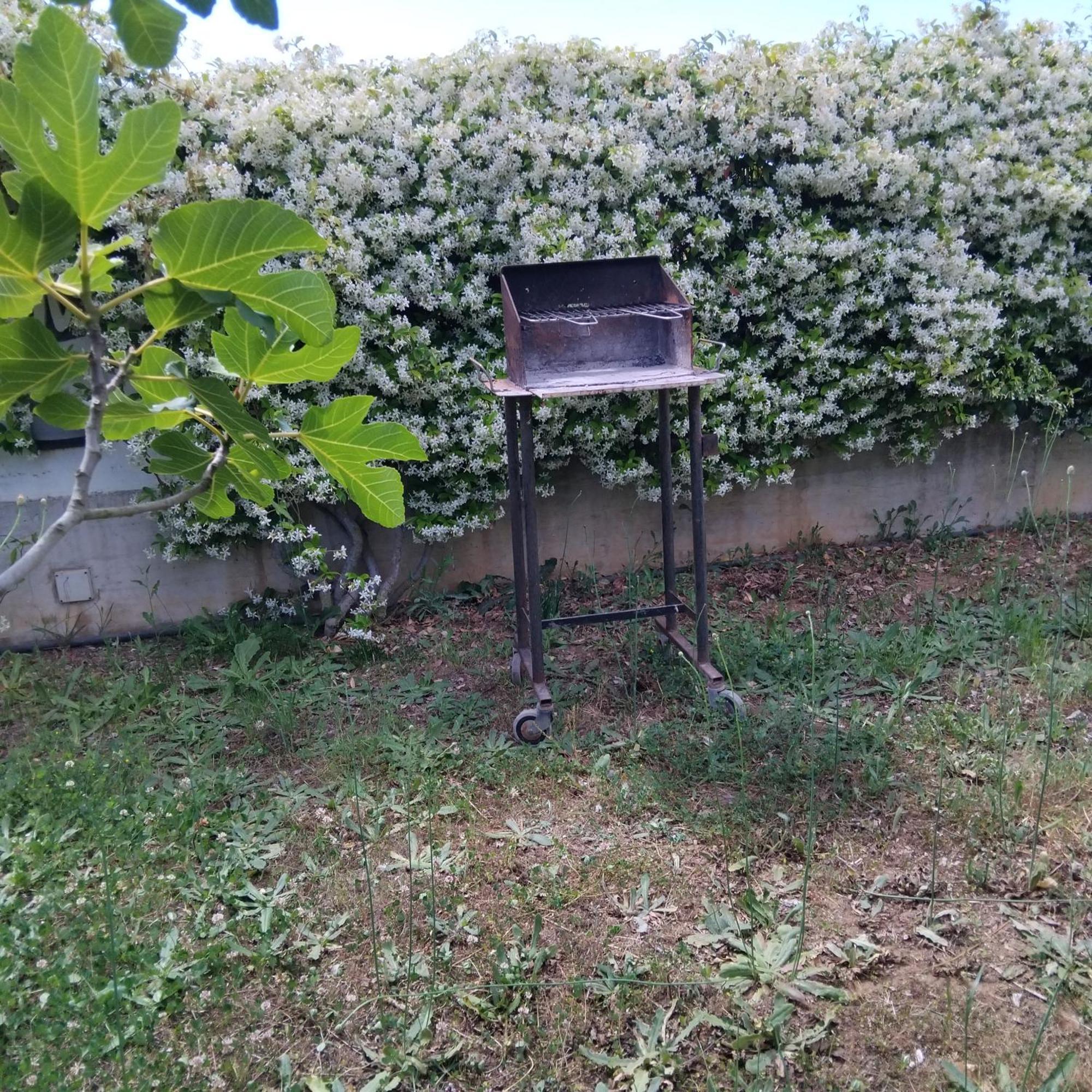 Appartamento In Seminterrato Zannone Sabaudia Buitenkant foto